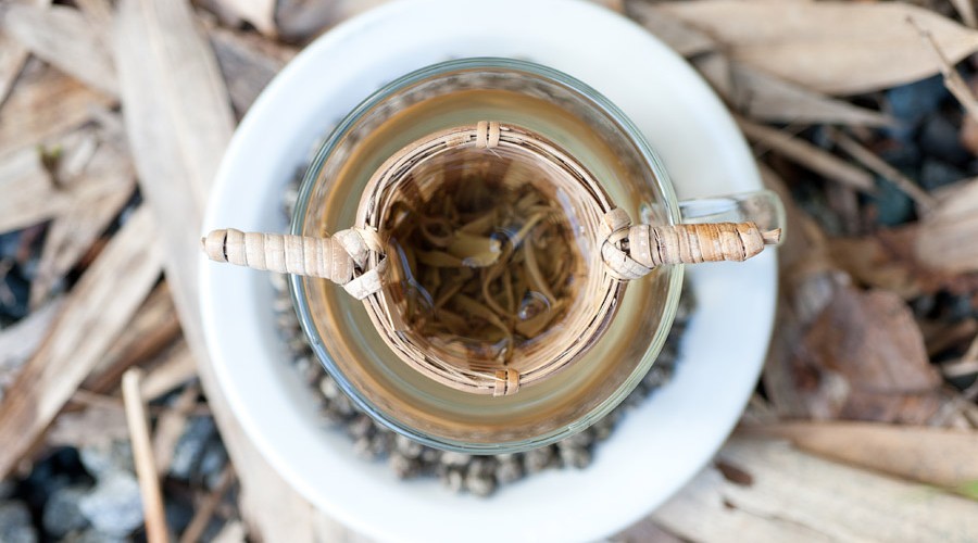 Karlas_Specialteas_2012_Feb-47